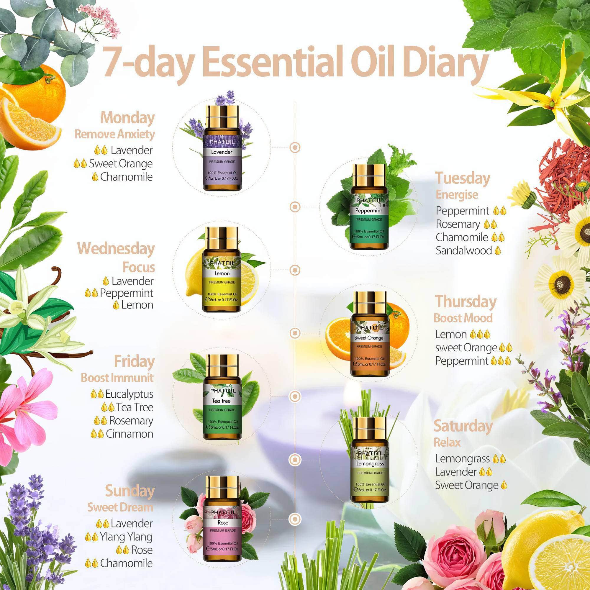 15Pc Gift Set Pure Essential Oils - Natural Plant Aroma for Essential Oil Diffuser - Eucalyptus, Vanilla, Mint, Lavender, Rose, Tea Tree