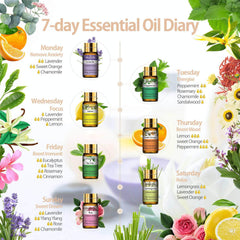 15Pc Gift Set Pure Essential Oils - Natural Plant Aroma for Essential Oil Diffuser - Eucalyptus, Vanilla, Mint, Lavender, Rose, Tea Tree