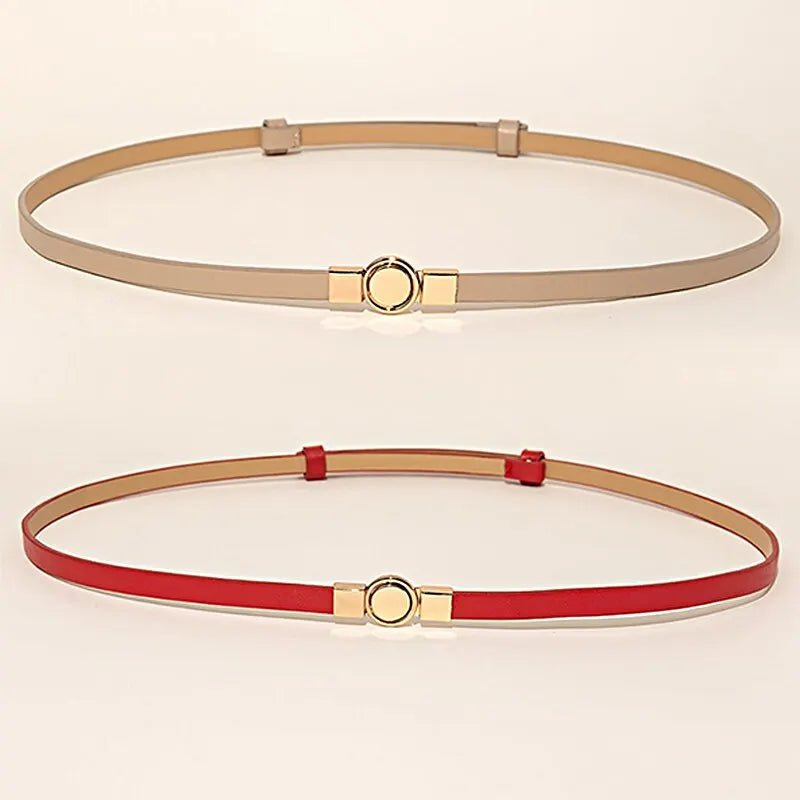 2-Piece Multicolor Self-Stretch Dress Women's Belt