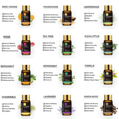 20pcs Kits Gift Box Essential Oil for Diffuser: Pure Natural Plant Extracts - Frankincense, Vanilla, Lemon, Mint, Jasmine, Tea Tree Oilon Mint Jasmine Tea Tree Oil