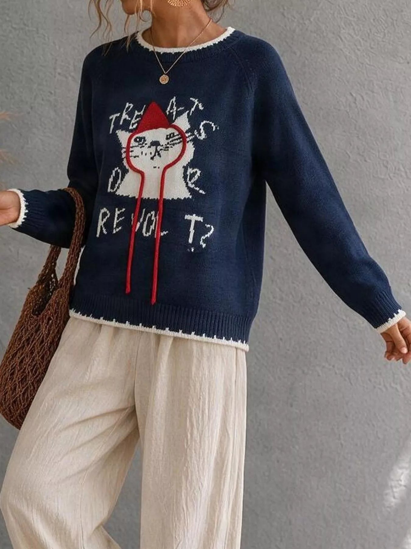 Navy raglan sleeve sweater with cat graphic and white trim