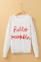 HELLO PUMPKIN Round Neck Long Sleeve Sweater