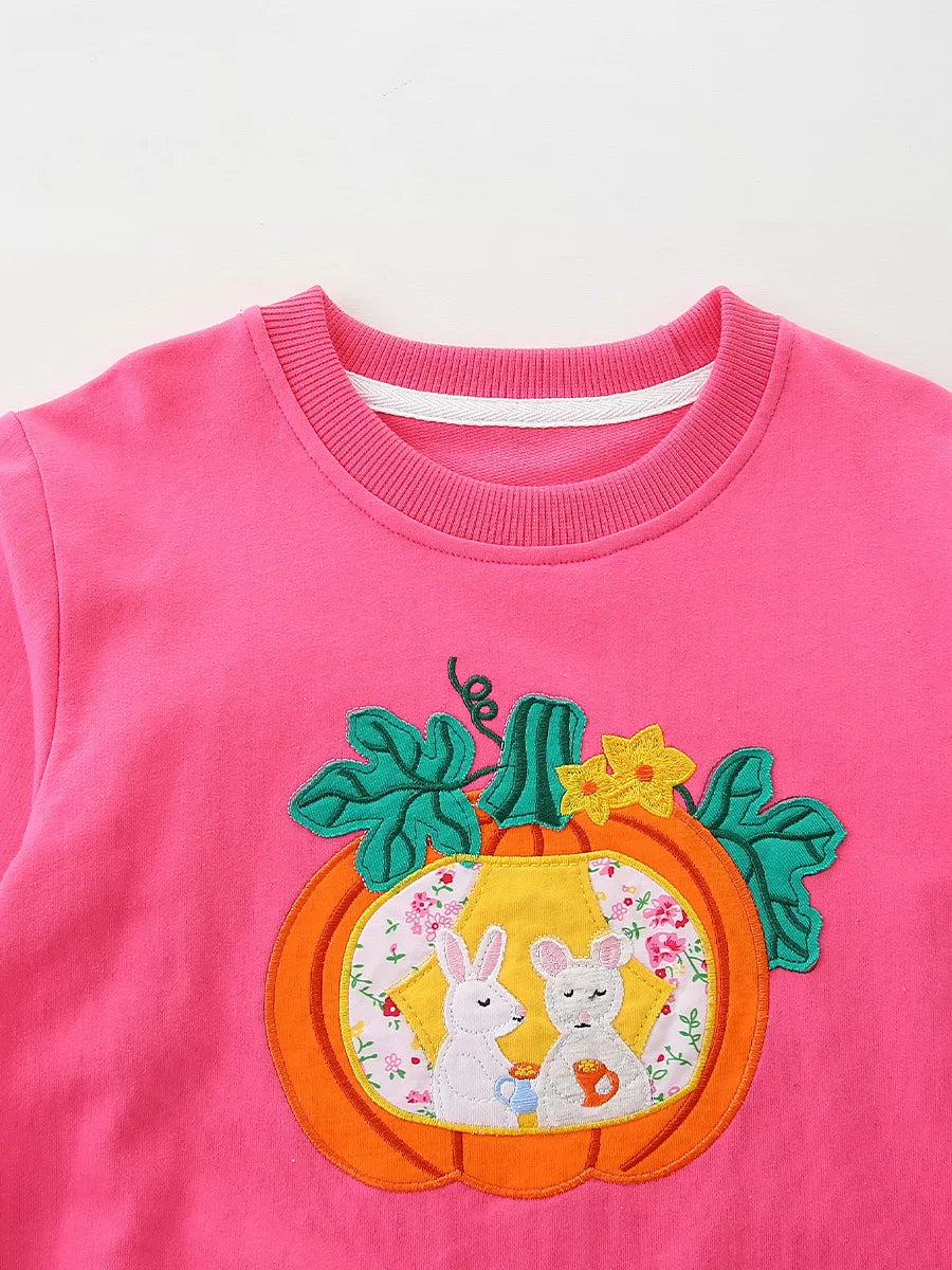 Close-up of the ribbed neckline and pumpkin rabbit applique on the pink sweatshirt