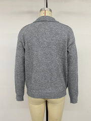 Back view of a plain gray long sleeve polo sweater on a mannequin