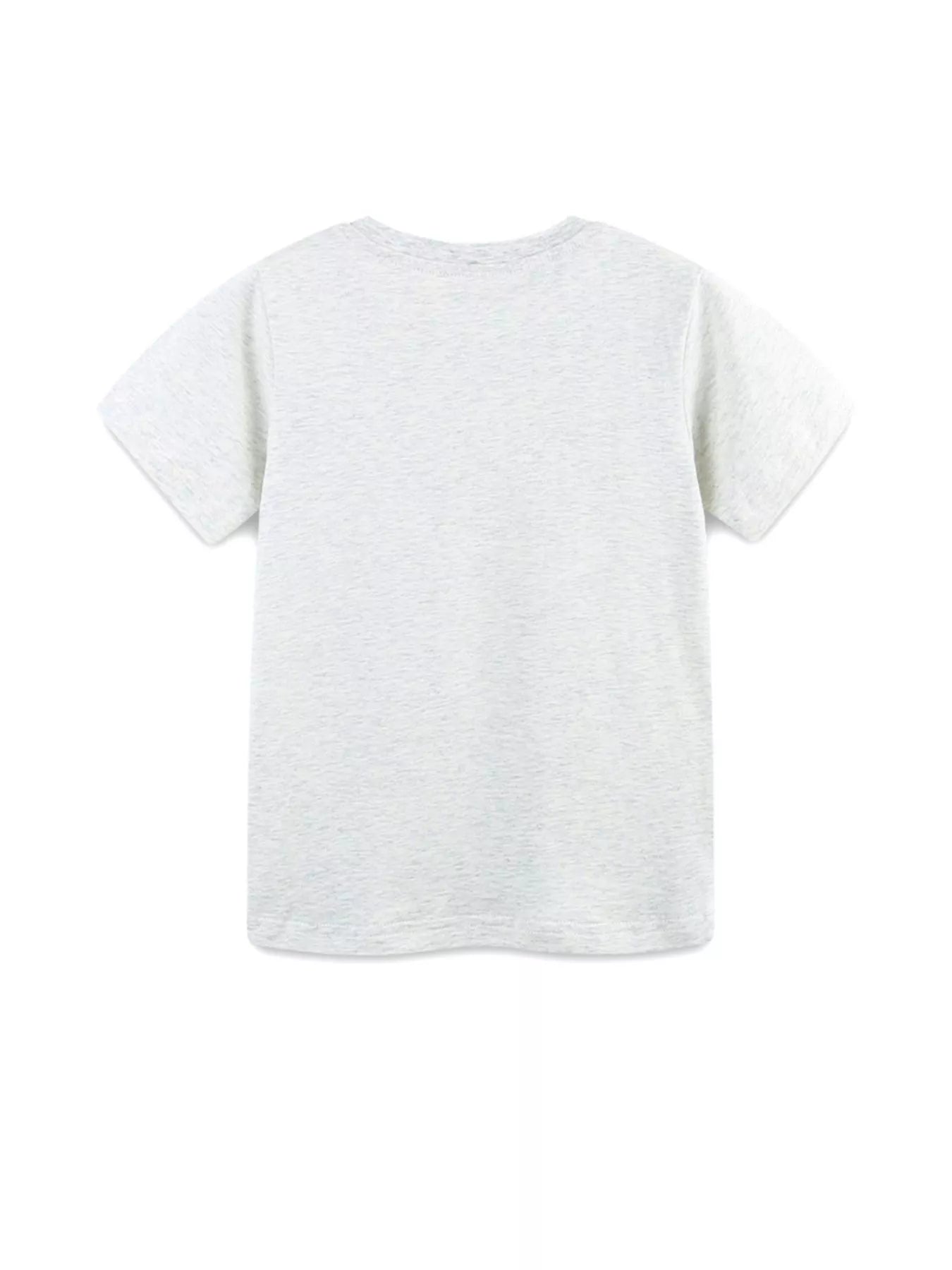 Flat lay back view of plain light gray children's short sleeve crew neck t-shirt