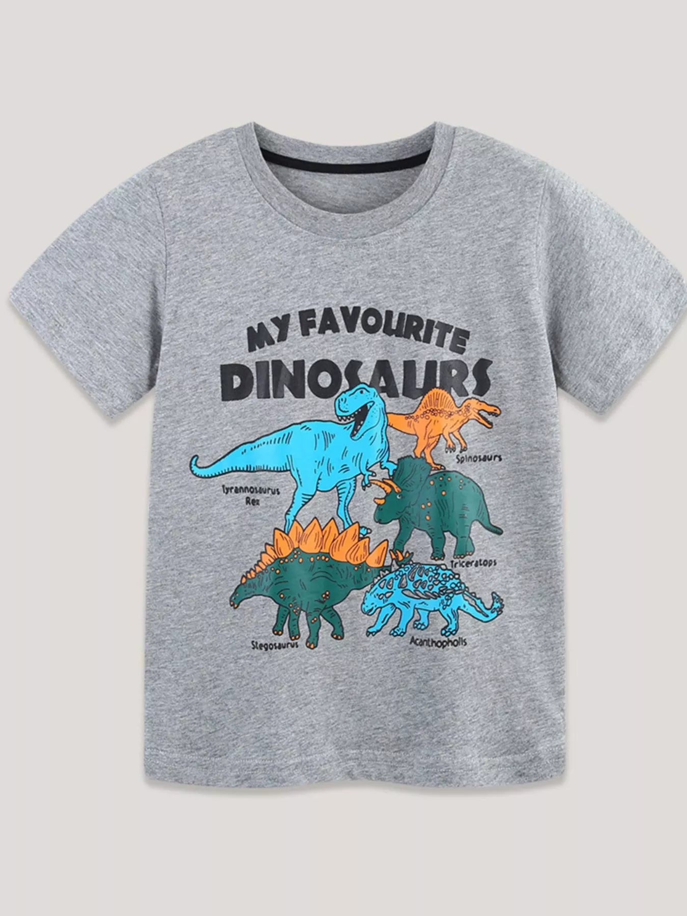 Gray children's short sleeve t-shirt laid flat with labeled colorful dinosaurs and bold dinosaur lettering