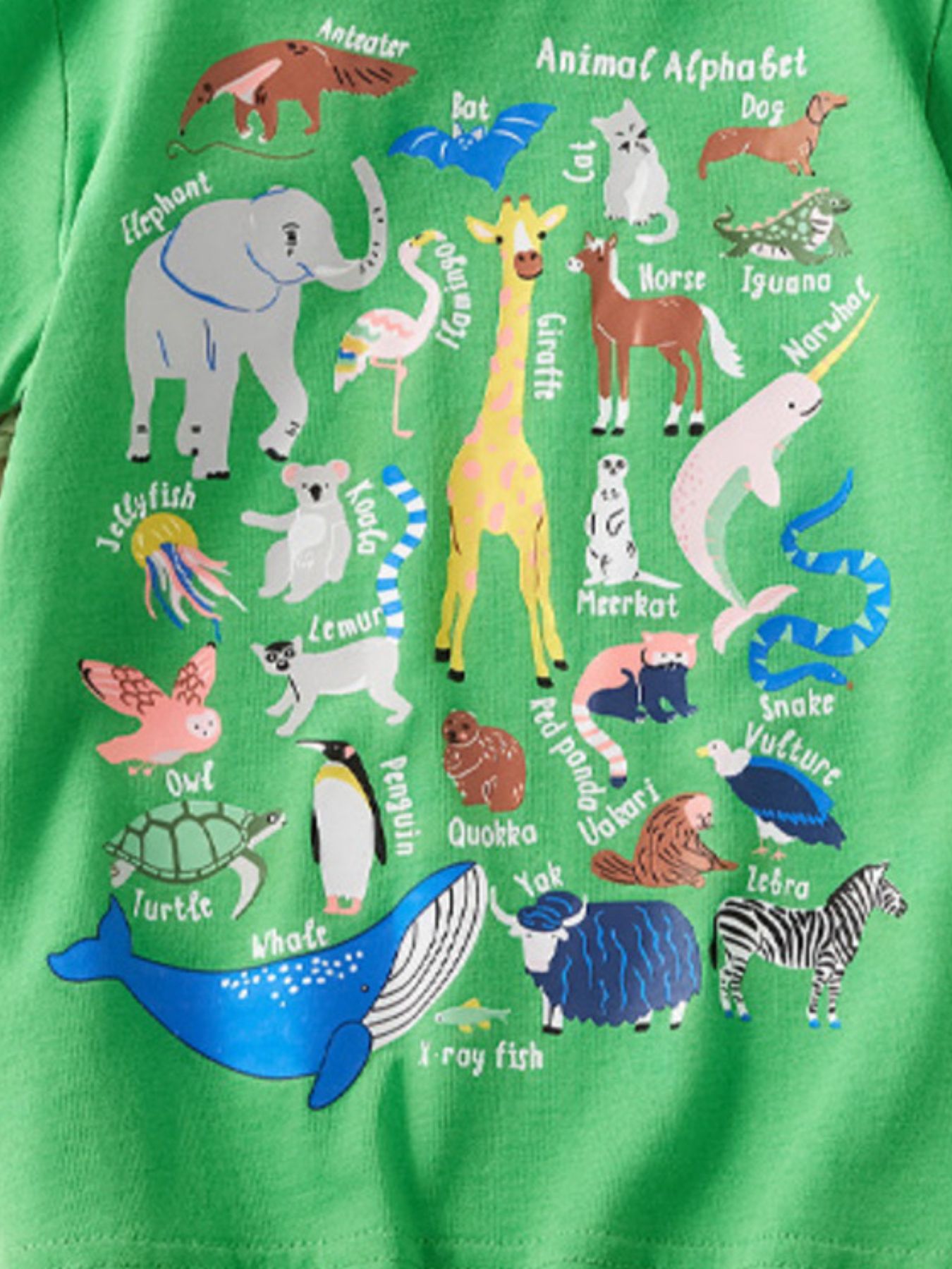 Detail view of the lower animal alphabet print with whale yak and zebra on a children's green t-shirt