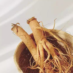 Agua esencial de ginseng Beauty of Joseon