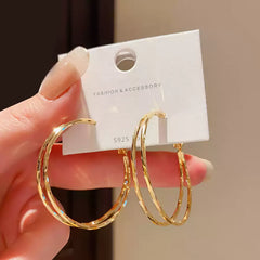 Stylish Gold Tone Double Hoop Earrings