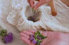 Arencia Holy Hyssop Serum 30 50ml