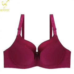 BINNYS Women's D Cup Full Cup High-Quality Plus Sizes Underwear: Striped, Spandex Nylon, Underwire Bra wine red / D / 38