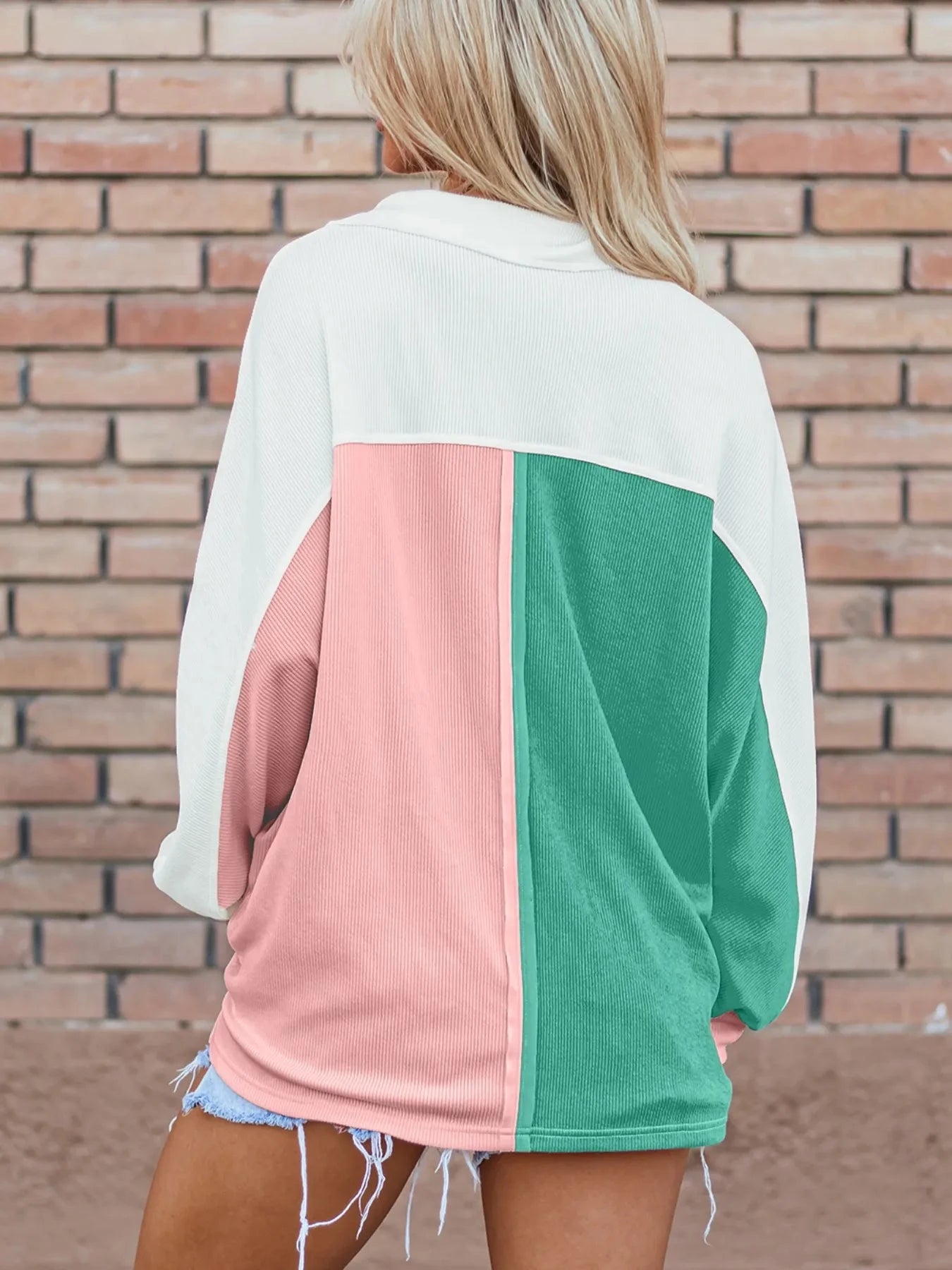Color Block Button Front Collared Neck Sweatshirt