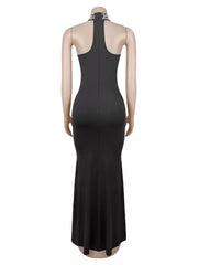 Back view of black sleeveless maxi dress on mannequin with halter strap and back zip