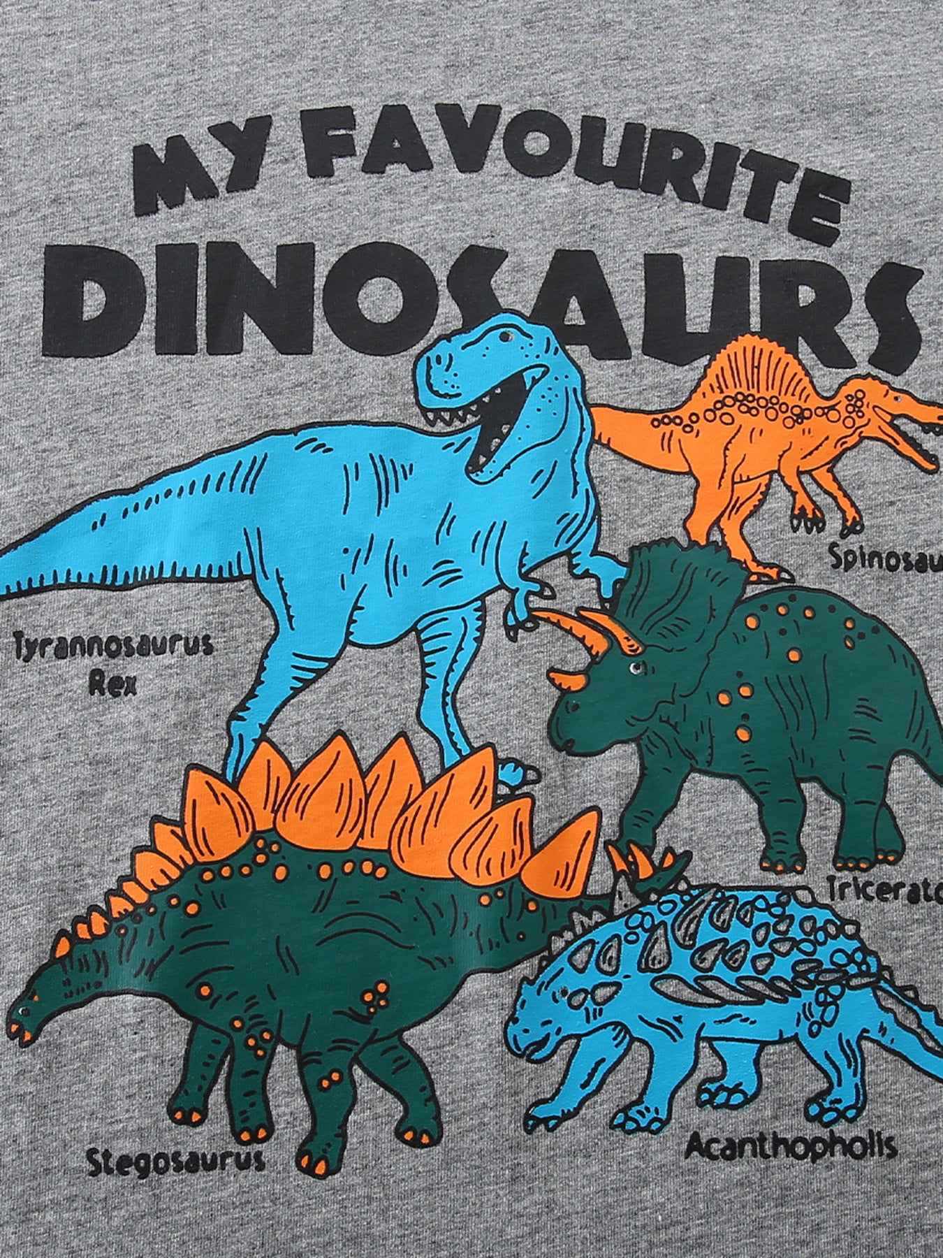 Close up of colorful labeled dinosaur graphics on gray children's short sleeve t-shirt