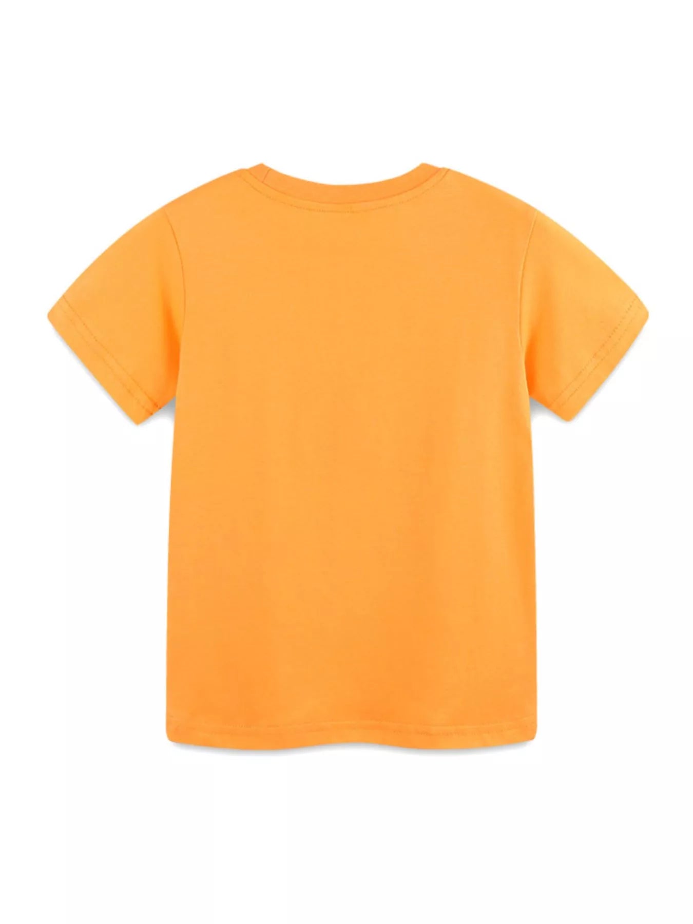 Flat lay back view of plain orange children's short sleeve round neck tee