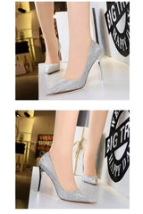 Glitter Shimmery Pointed Toes Pumps