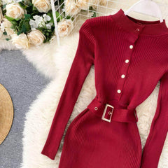High Neck Knitted Sweater Slim Fit Dress