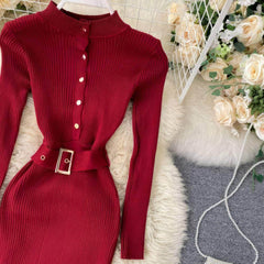 High Neck Knitted Sweater Slim Fit Dress