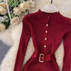 High Neck Knitted Sweater Slim Fit Dress