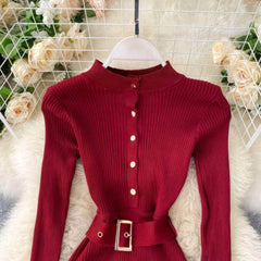 High Neck Knitted Sweater Slim Fit Dress