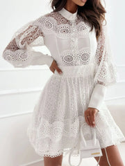 Lace Lantern Sleeve Mini Dress