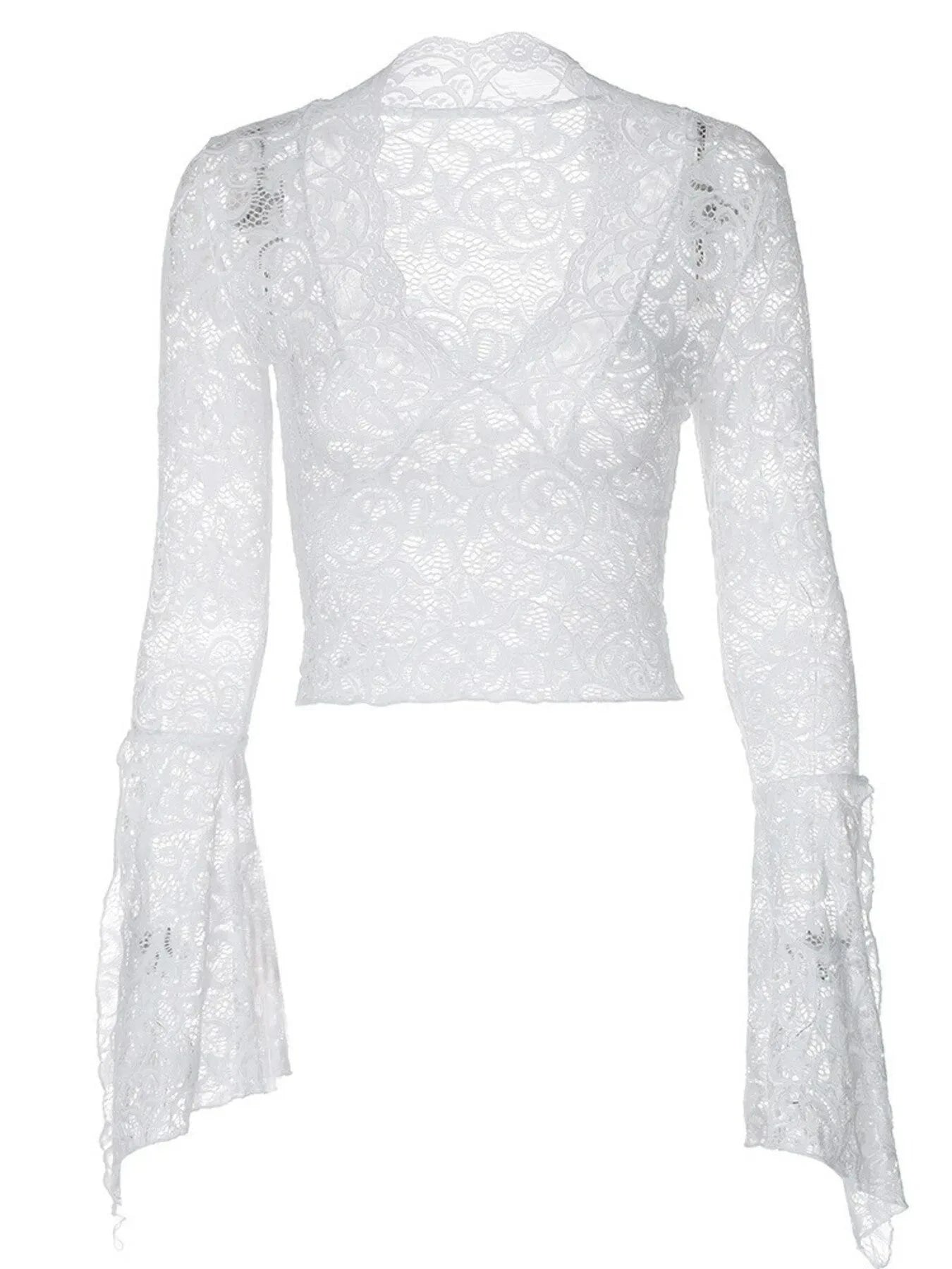 Lace Long Sleeve Deep V-Neck Blouse