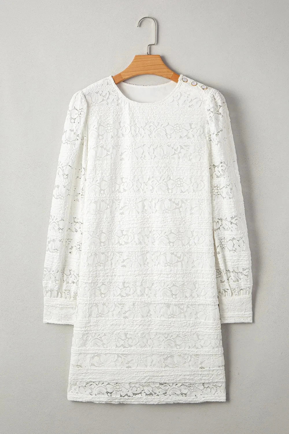 Lace Long Sleeve Mini Dress