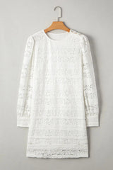 Lace Long Sleeve Mini Dress
