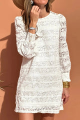 Lace Long Sleeve Mini Dress White / S