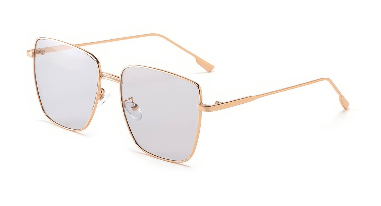 Large Frame Polarized Eyewear Gray/Gold / Resin