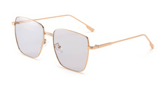 Large Frame Polarized Eyewear Gray/Gold / Resin