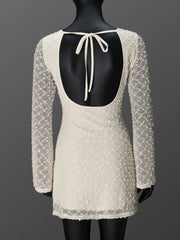 Long Sleeve Bodycon Mini Dress