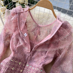 Long Sleeves Embroidered Ruched A-line Mesh Dress