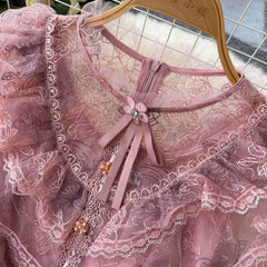 Long Sleeves Embroidered Ruched A-line Mesh Dress