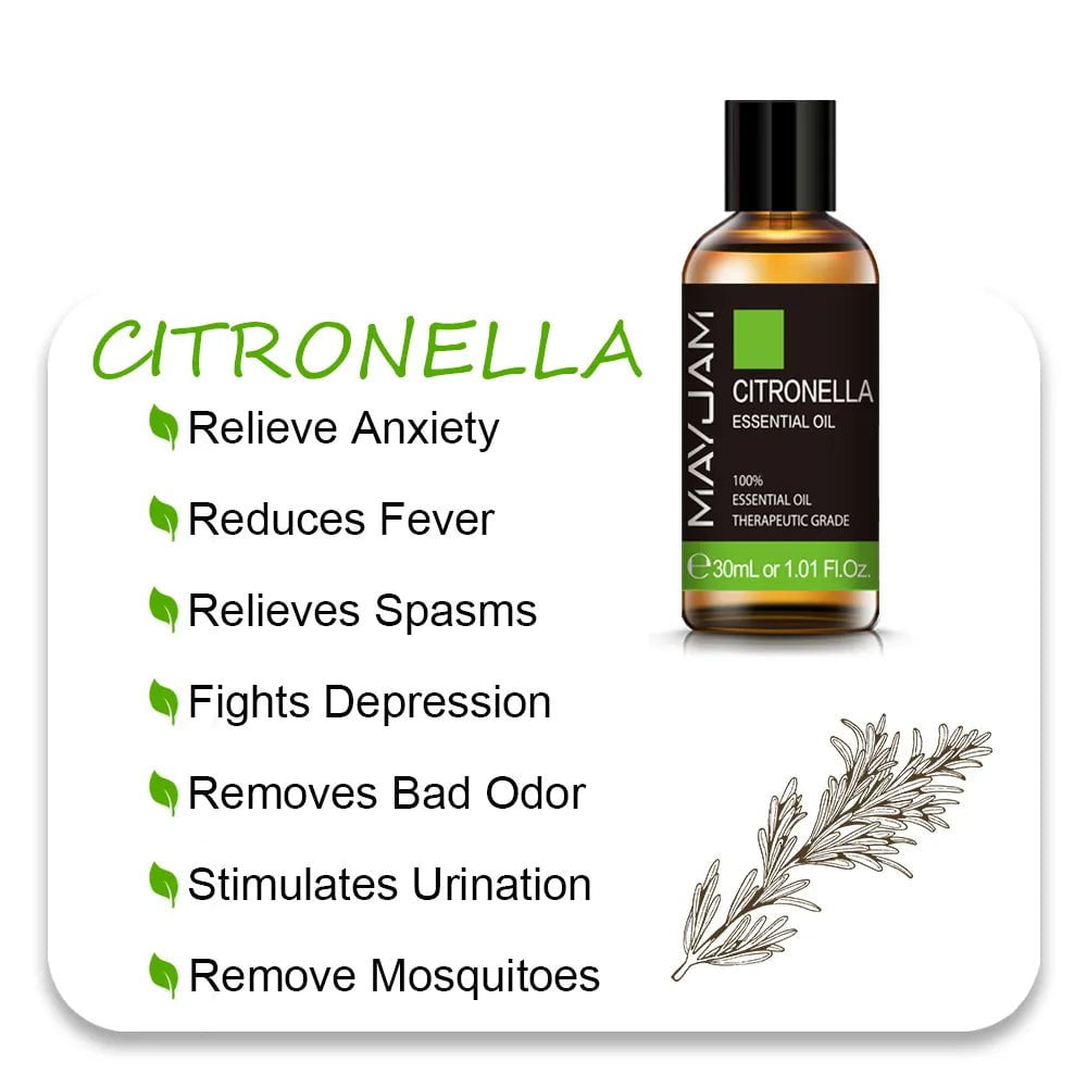 MAYJAM Essential Oils: 10ml, 30ml, 100ml for Humidifier Diffuser - Lavender, Jasmine, Eucalyptus, Ylang Ylang, Vanilla, Tea Tree Aroma Oil Citronella / 30ml / CHINA