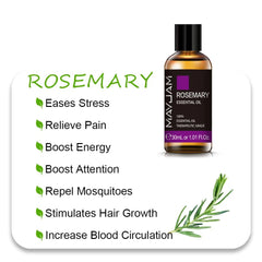 MAYJAM Essential Oils: 10ml, 30ml, 100ml for Humidifier Diffuser - Lavender, Jasmine, Eucalyptus, Ylang Ylang, Vanilla, Tea Tree Aroma Oil Rosemary Oil / 30ml / CHINA
