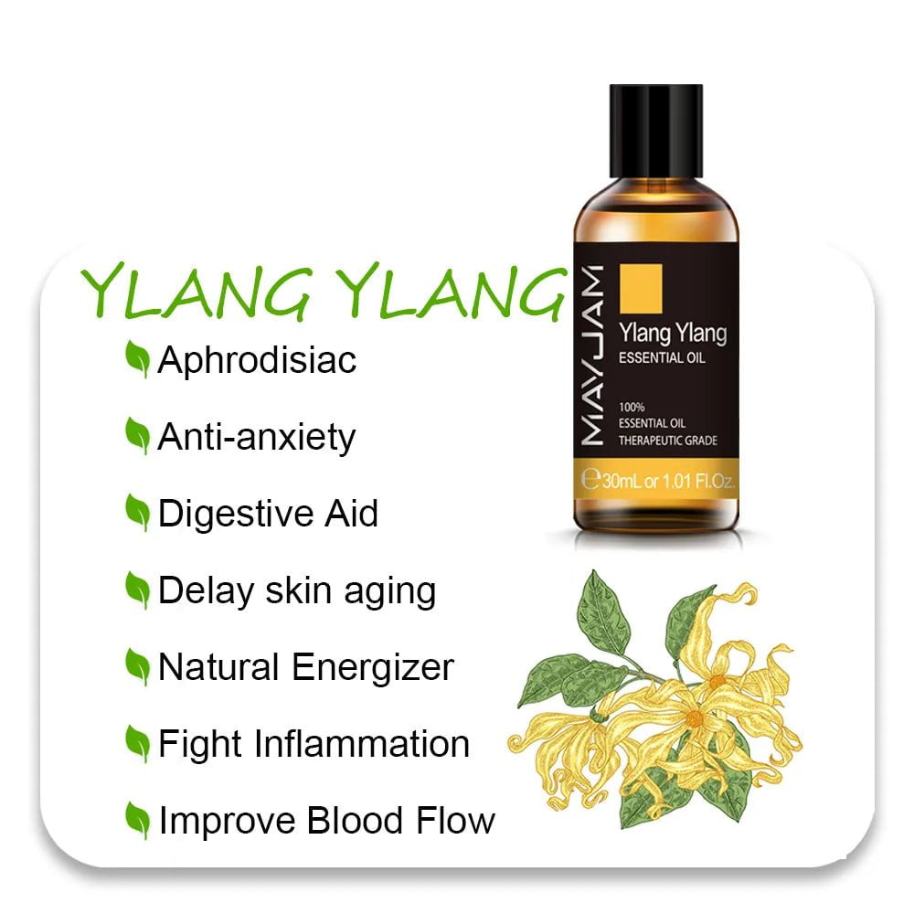 MAYJAM Essential Oils: 10ml, 30ml, 100ml for Humidifier Diffuser - Lavender, Jasmine, Eucalyptus, Ylang Ylang, Vanilla, Tea Tree Aroma Oil Ylang Ylang Oil / 30ml / CHINA