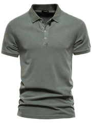 Men's Collared Neck Button Detail Short Sleeve Polo Sage / 2XL