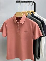 Men's Plus Size Button Detail Short Sleeve Polo