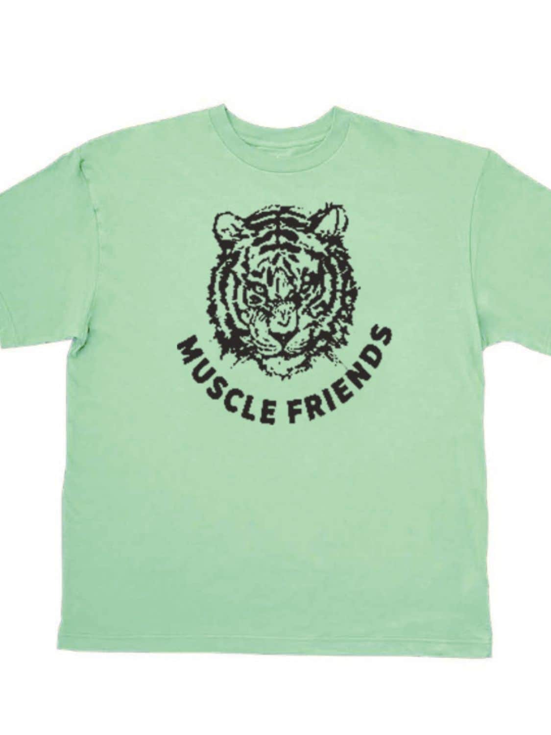Men's Plus Size Graphic Round Neck Short Sleeve T-Shirt Gum Leaf / M