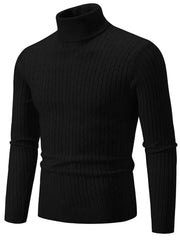Men's Plus Size Ribbed Turtleneck Long Sleeve Sweater Black / M