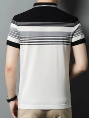 Men's Plus Size Striped Short Sleeve Polo
