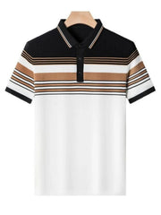Men's Plus Size Striped Short Sleeve Polo