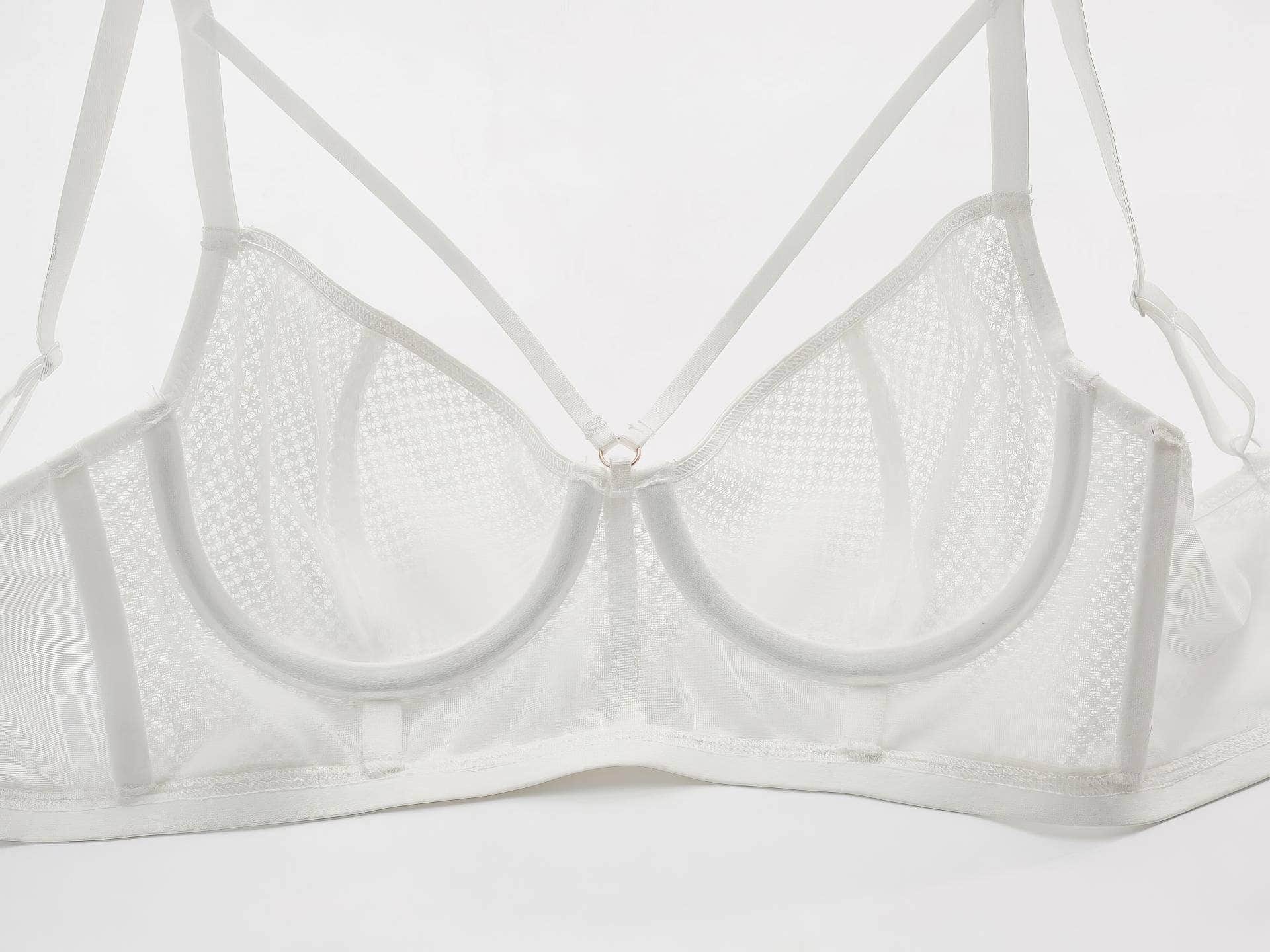 Mesh Embroidered Bra Panty Set