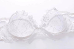 Mesh Floral Embroidered Bow Detailed Bra Panty Set