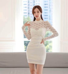 Mesh Panel Long Sleeves Slimfit Mini Dress