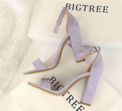 Open Toe Ankle Strap Block Heels