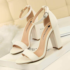 Open Toe Ankle Strap Block Heels