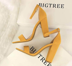 Open Toe Ankle Strap Block Heels