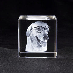 Personalized Sympathy Tribute - Custom Gift for the Loss of a Beloved Pet, Crystal Decor Keepsake Offering as a Memorial for the Departed Loved One